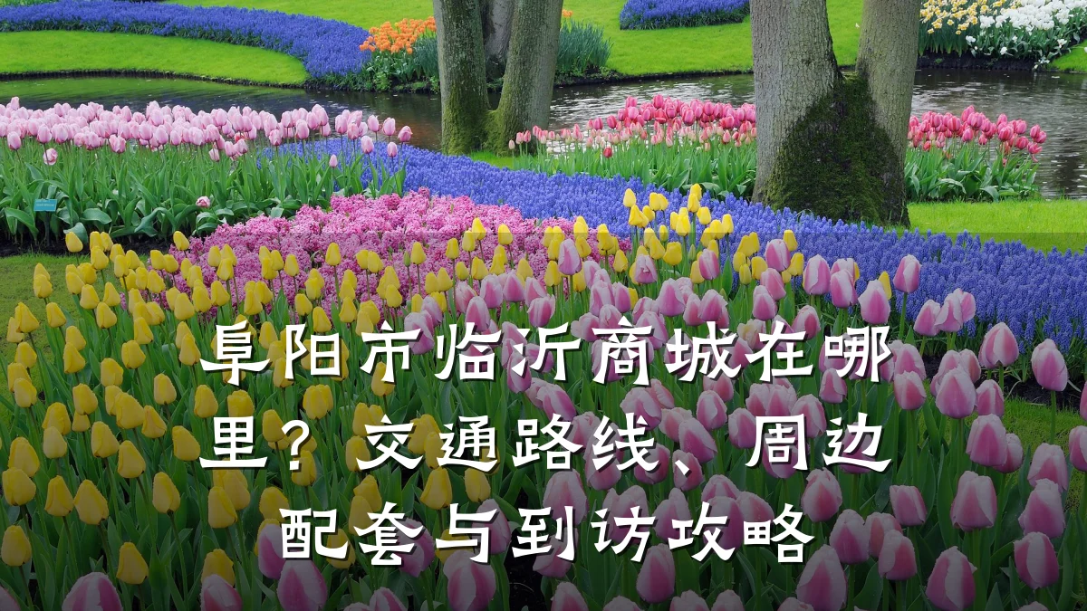 阜阳市临沂商城在哪里？交通路线、周边配套与到访攻略