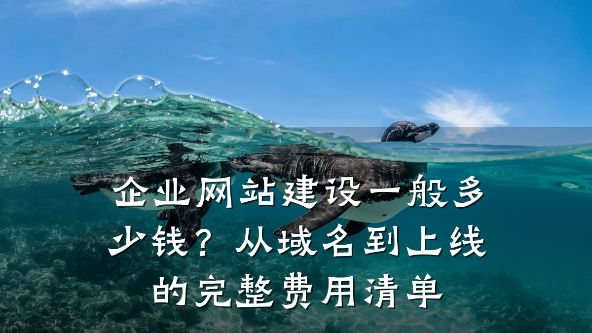 企业网站建设一般多少钱?从域名到上线的完整费用清单