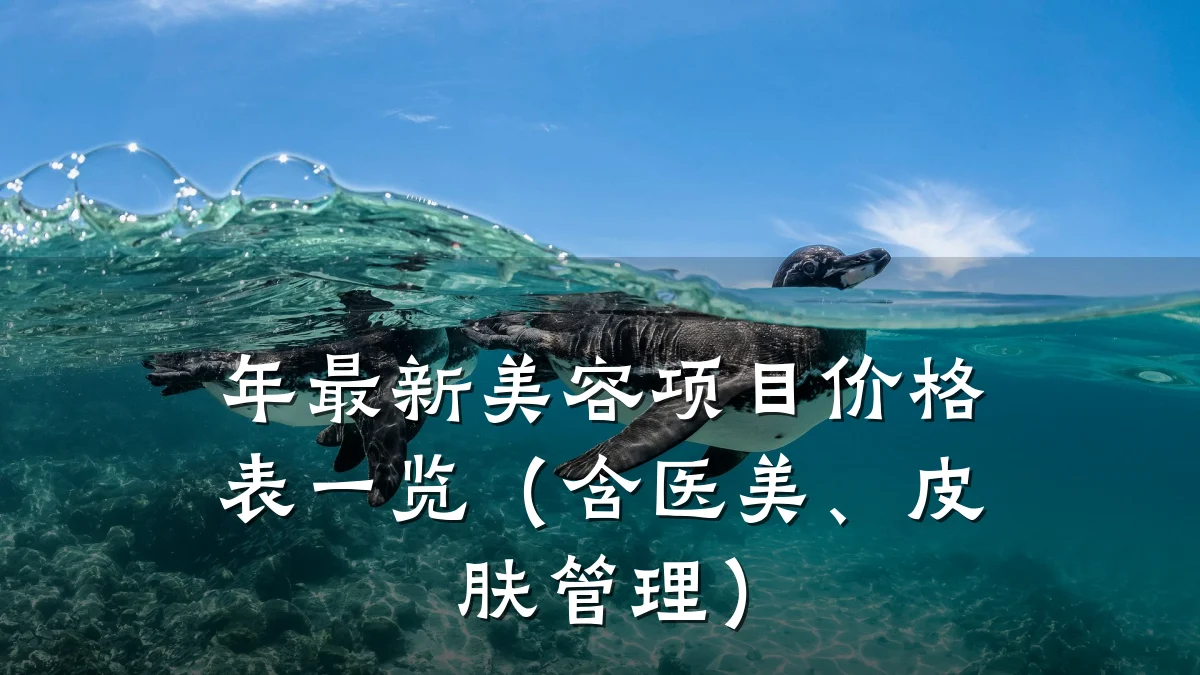年最新美容项目价格表一览(含医美、皮肤管理)