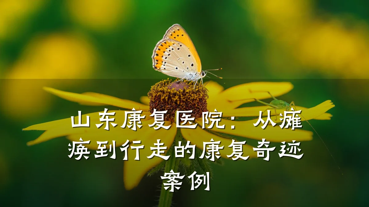 山东康复医院：从瘫痪到行走的康复奇迹案例