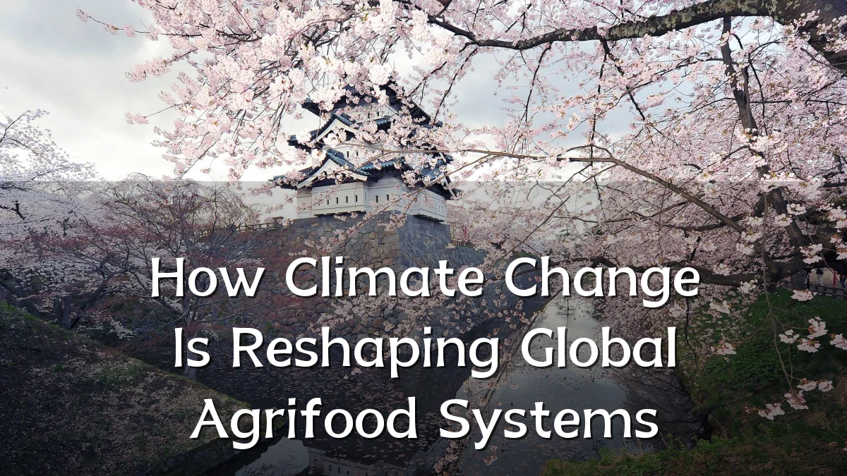 How Climate Change Is Reshaping Global Agrifood Systems