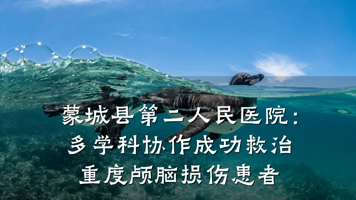 蒙城县第二人民医院：多学科协作成功救治重度颅脑损伤患者