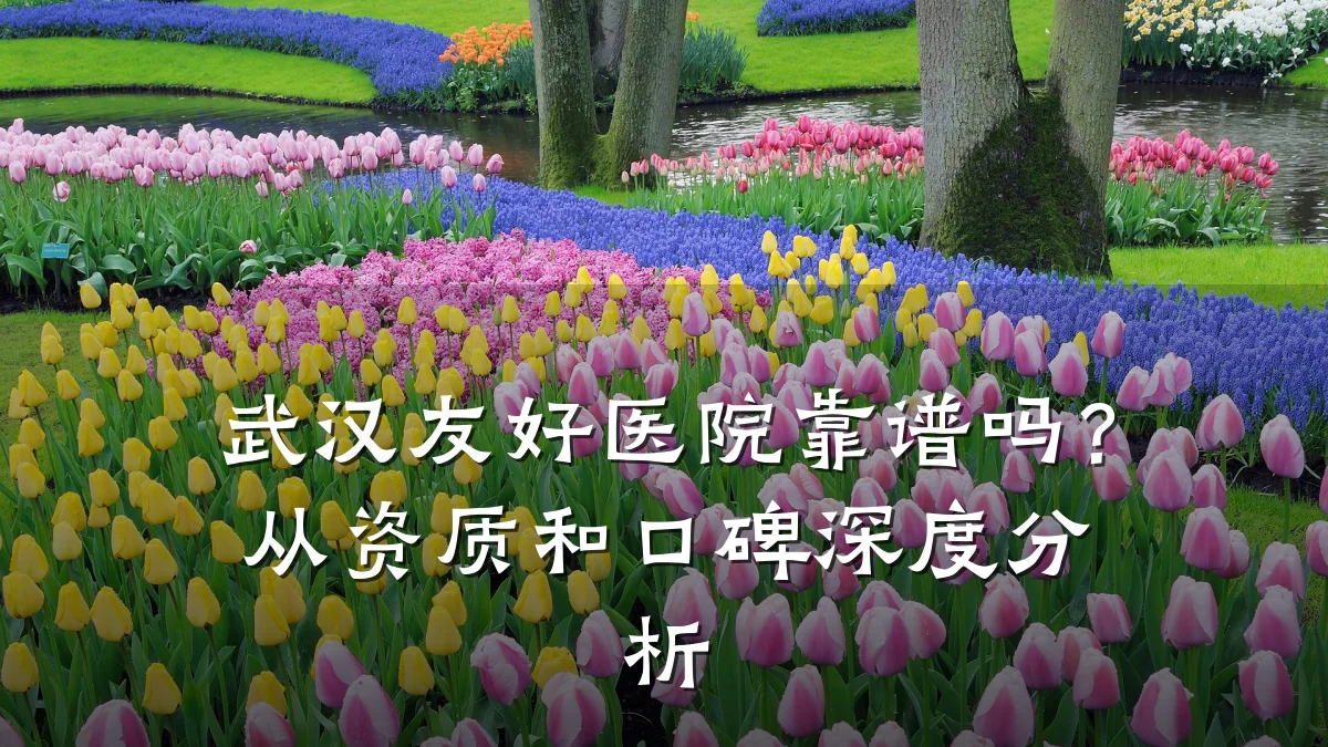 武汉友好医院靠谱吗?从资质和口碑深度分析