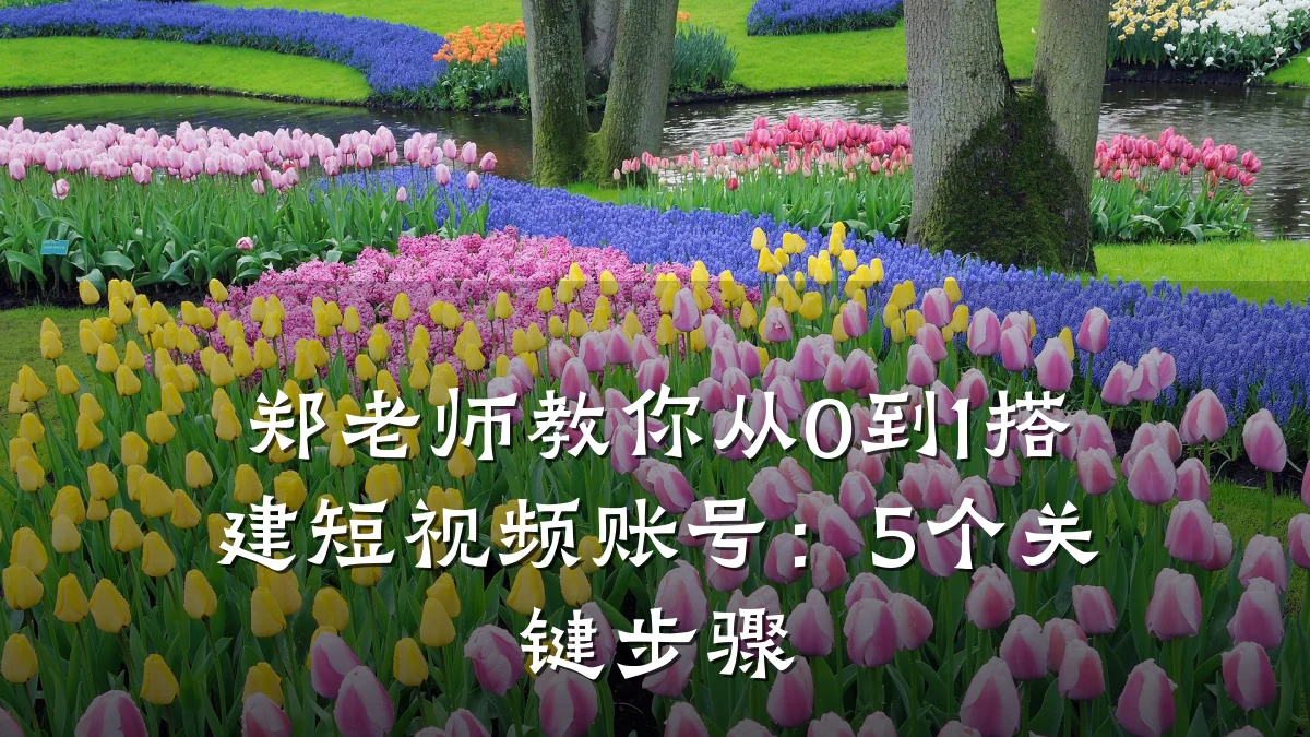 郑老师教你从0到1搭建短视频账号：5个关键步骤