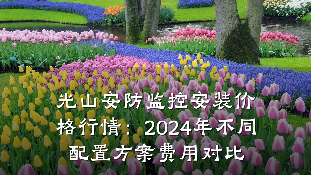光山安防监控安装价格行情:2024年不同配置方案费用对比