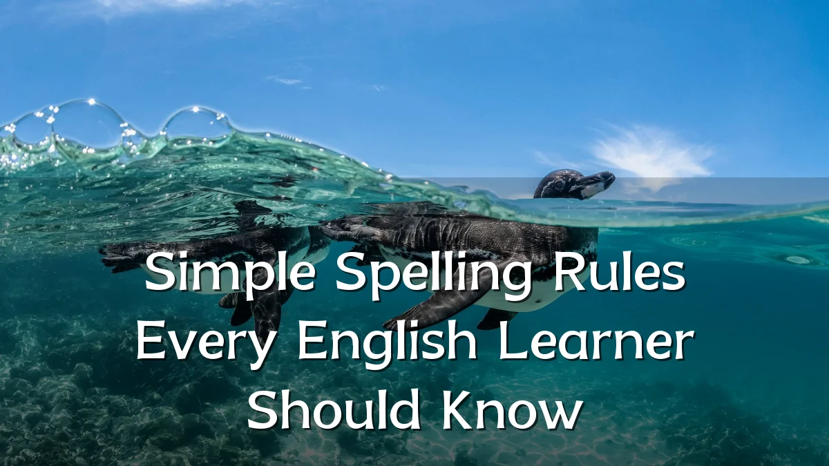 Simple Spelling Rules Every English Learner Should Know