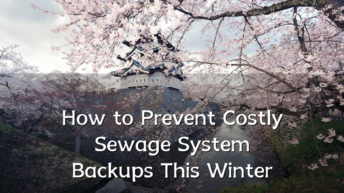 How to Prevent Costly Sewage System Backups This Winter