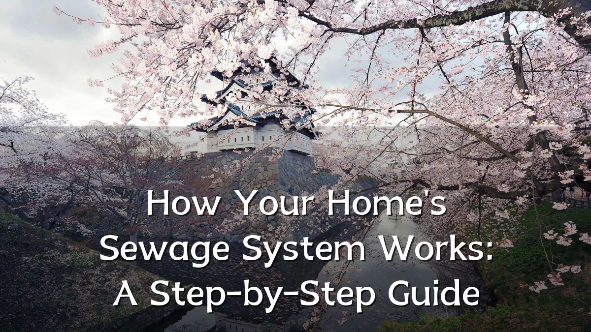 How Your Home's Sewage System Works: A Step-by-Step Guide