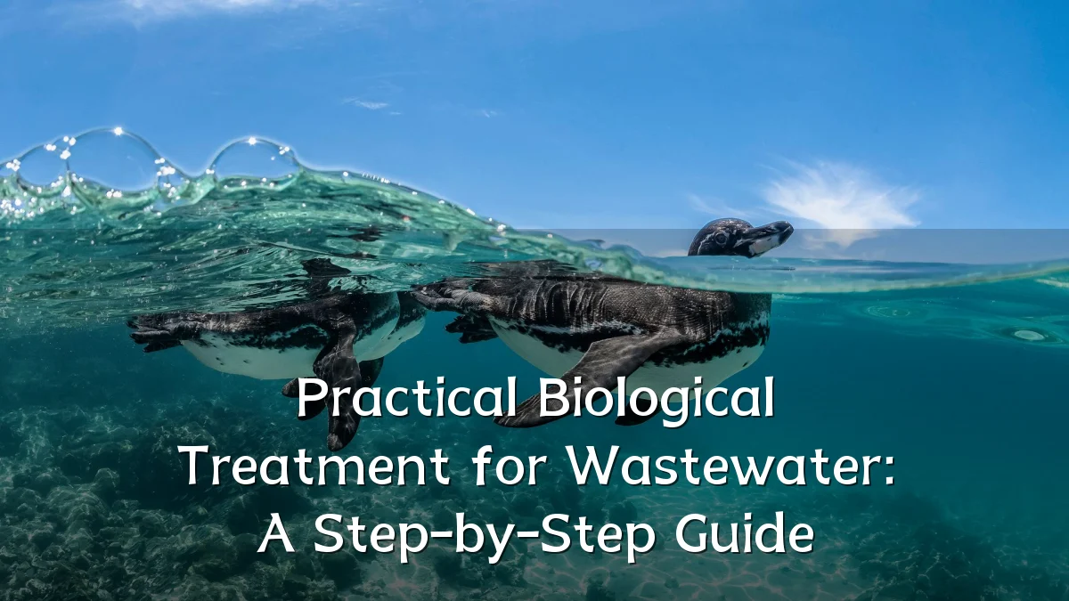 Practical Biological Treatment for Wastewater: A Step-by-Step Guide