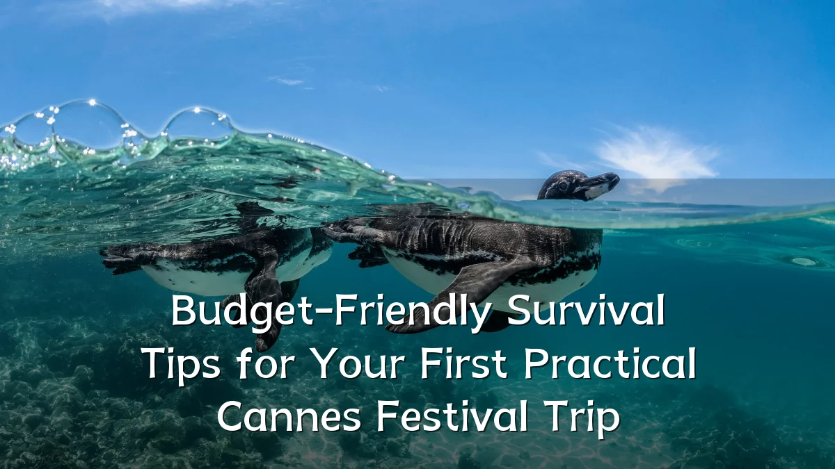 Budget-Friendly Survival Tips for Your First Practical Cannes Festival Trip