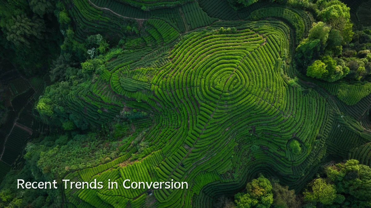 Recent Trends in Conversion