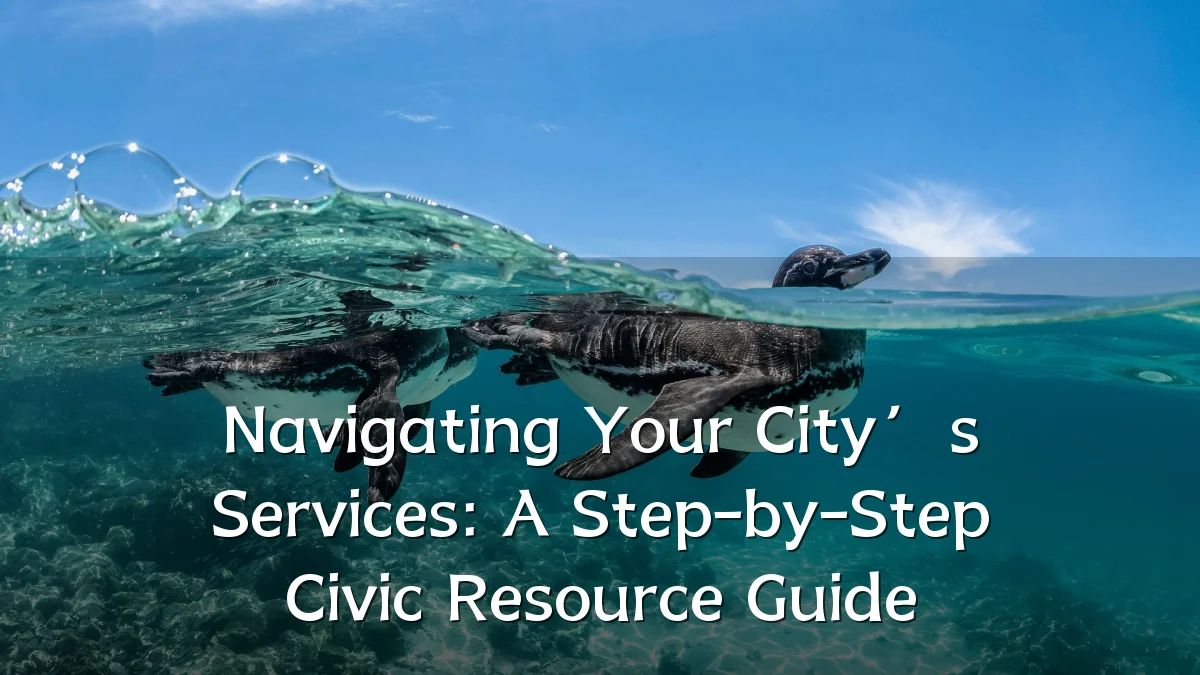 Navigating Your City’s Services: A Step-by-Step Civic Resource Guide