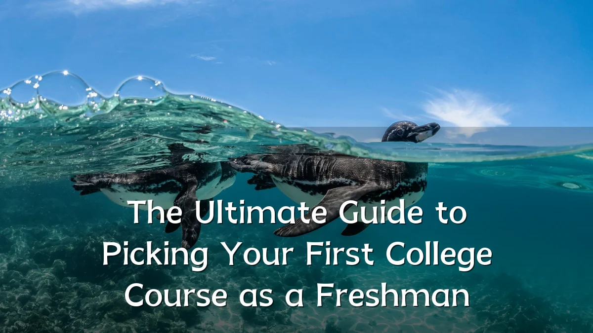 The Ultimate Guide to Picking Your First College Course as a Freshman