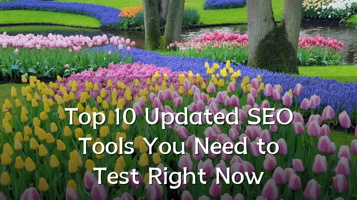 Top 10 Updated SEO Tools You Need to Test Right Now