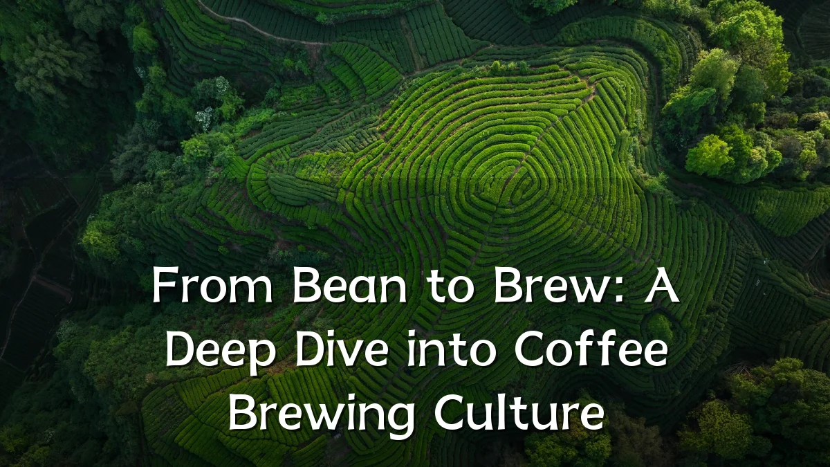 From Bean to Brew: A Deep Dive into Coffee Brewing Culture