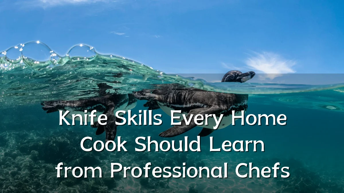 Knife Skills Every Home Cook Should Learn from Professional Chefs