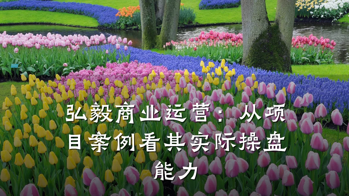 弘毅商业运营：从项目案例看其实际操盘能力