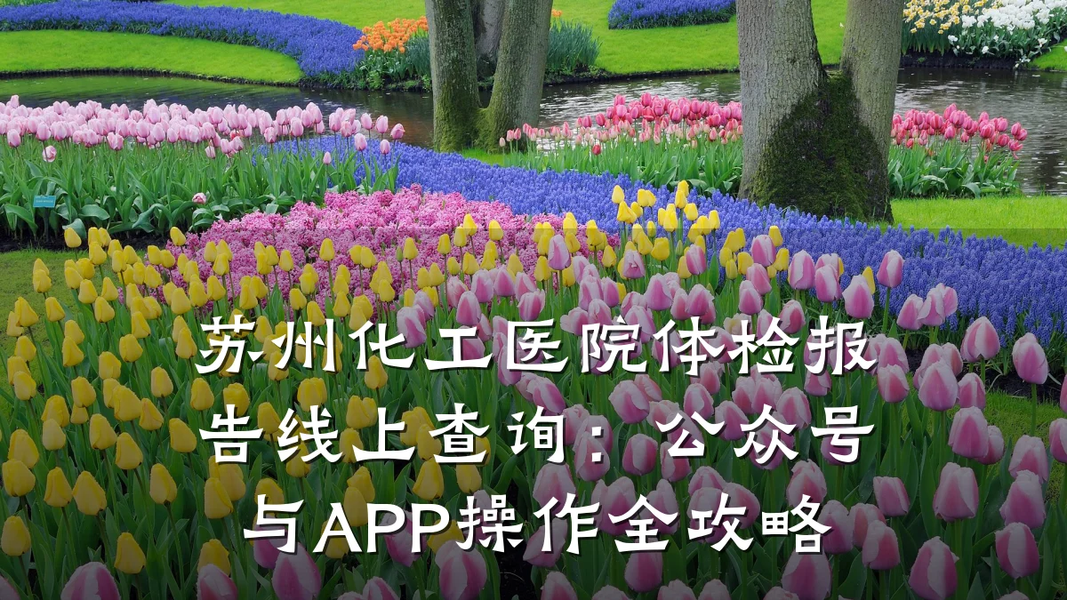 苏州化工医院体检报告线上查询:公众号与APP操作全攻略