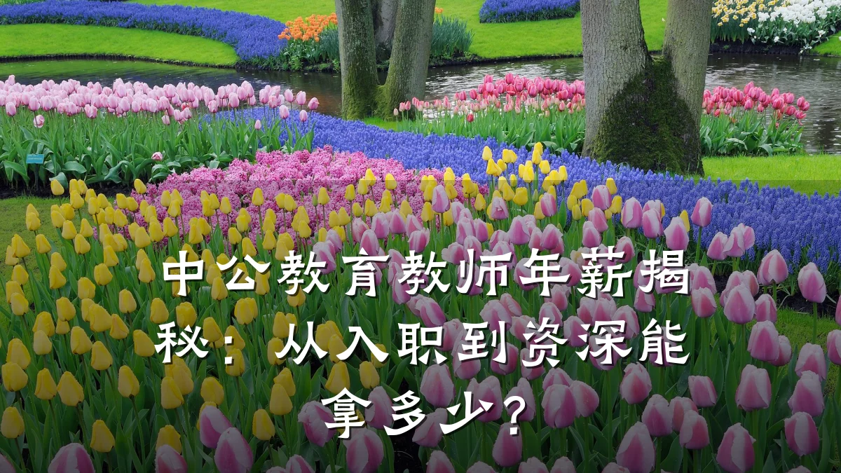 中公教育教师年薪揭秘：从入职到资深能拿多少？