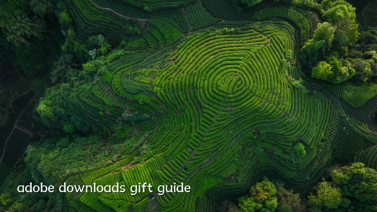 adobe downloads gift guide