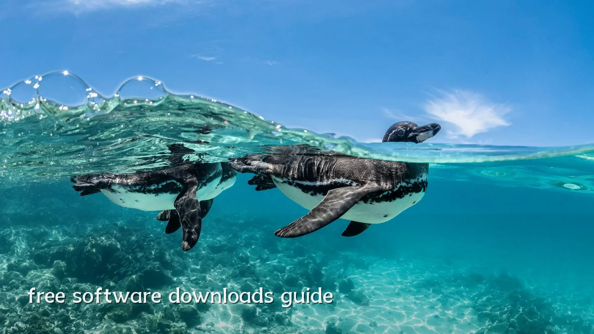 free software downloads guide