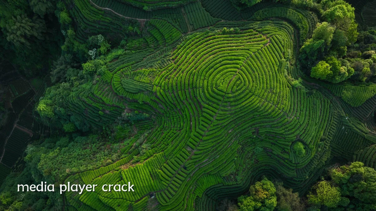 media player crack