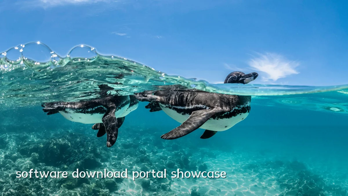 software download portal showcase
