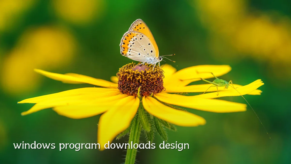 windows program downloads design