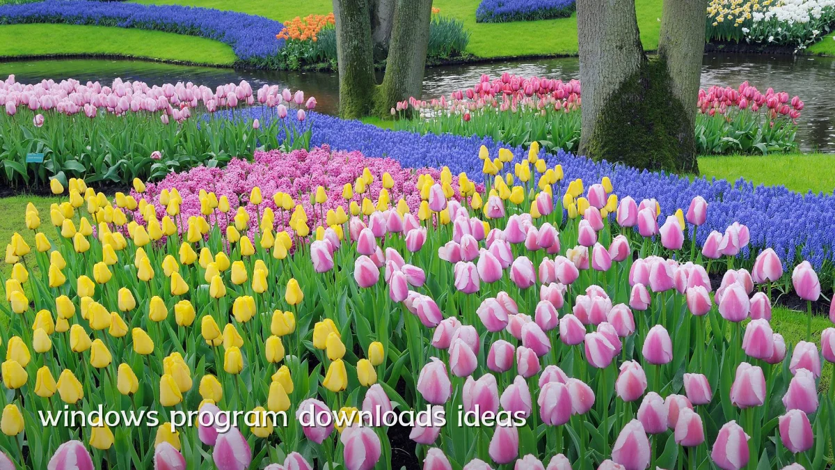 windows program downloads ideas