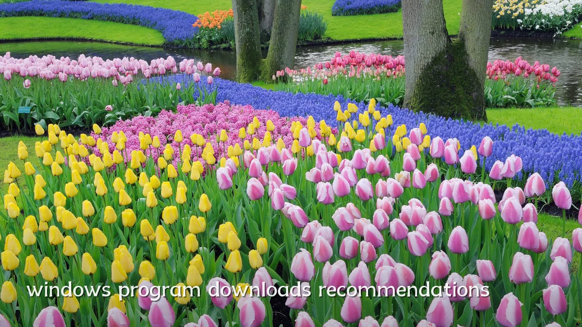 windows program downloads recommendations