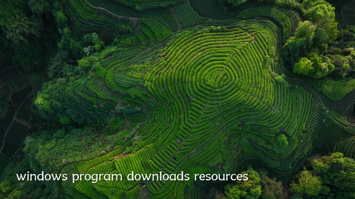 windows program downloads resources