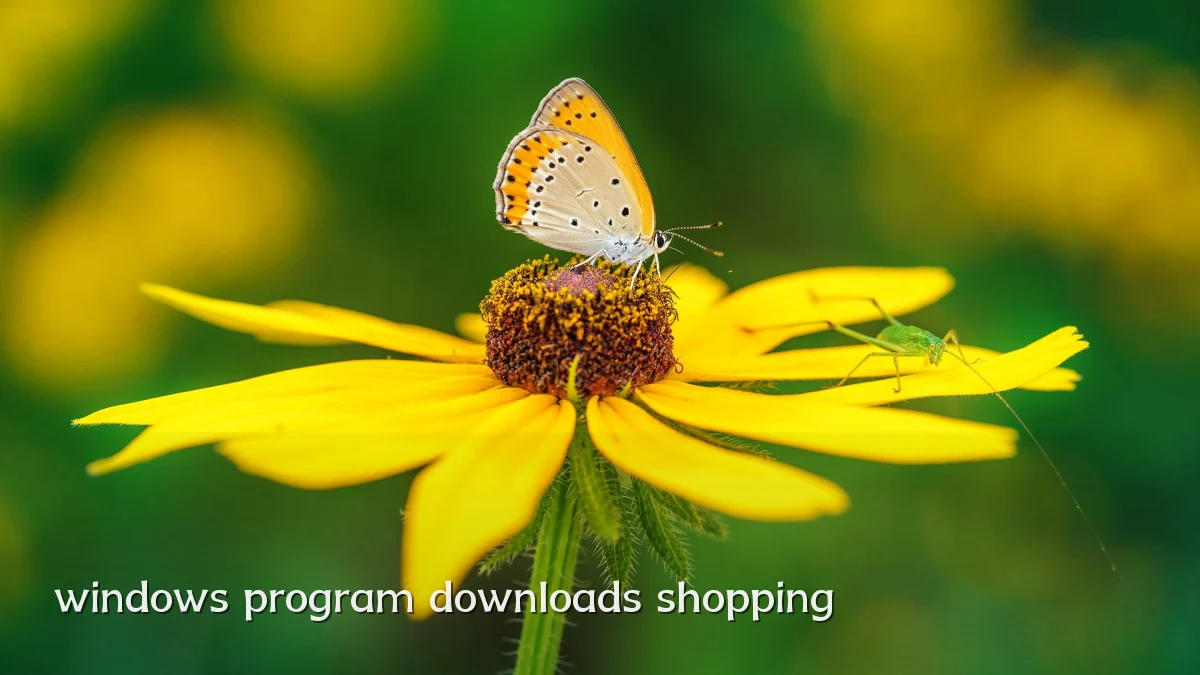 windows program downloads shopping