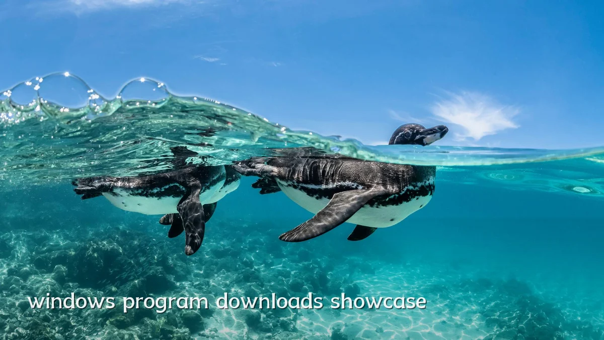 windows program downloads showcase