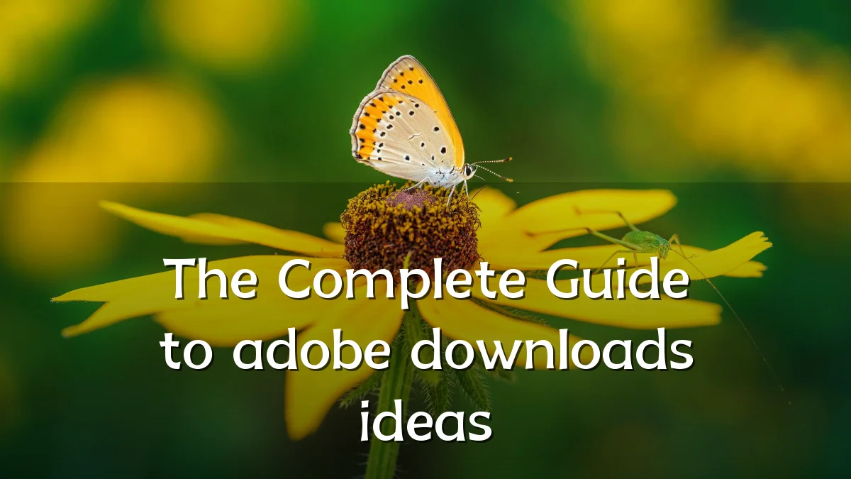 The Complete Guide to adobe downloads ideas