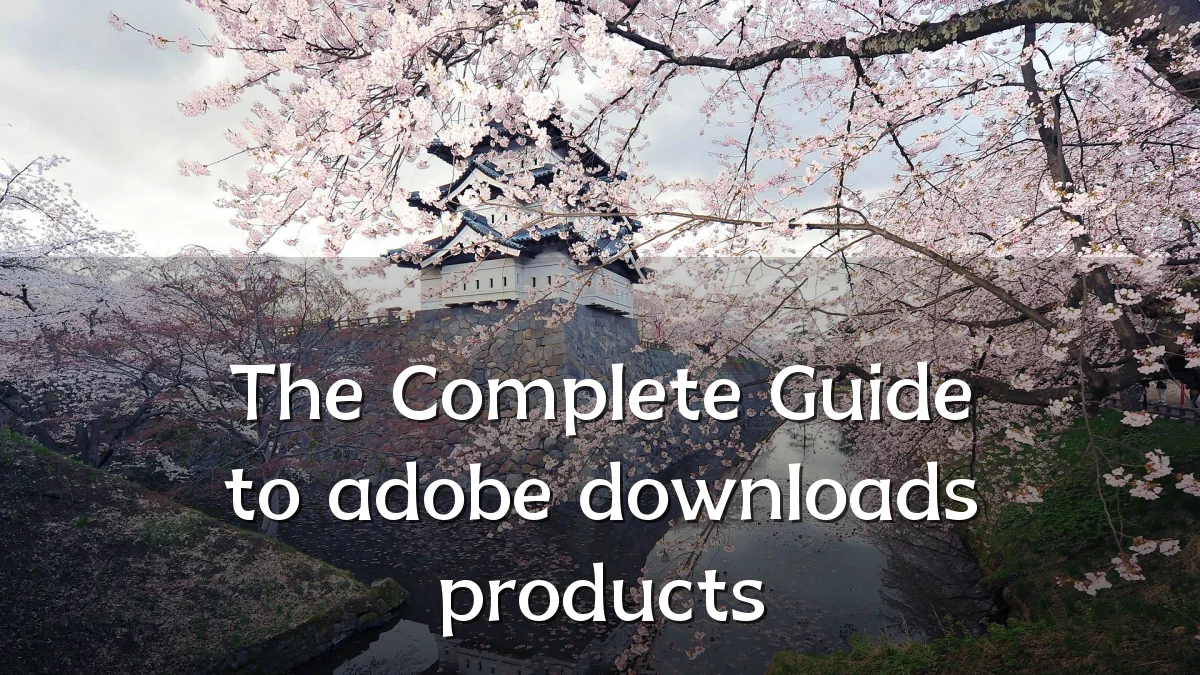 The Complete Guide to adobe downloads products
