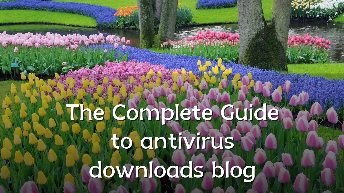 The Complete Guide to antivirus downloads blog