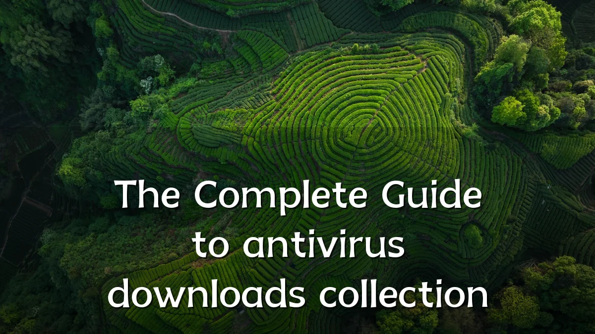 The Complete Guide to antivirus downloads collection