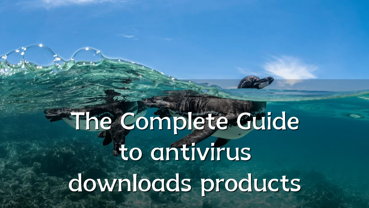 The Complete Guide to antivirus downloads products