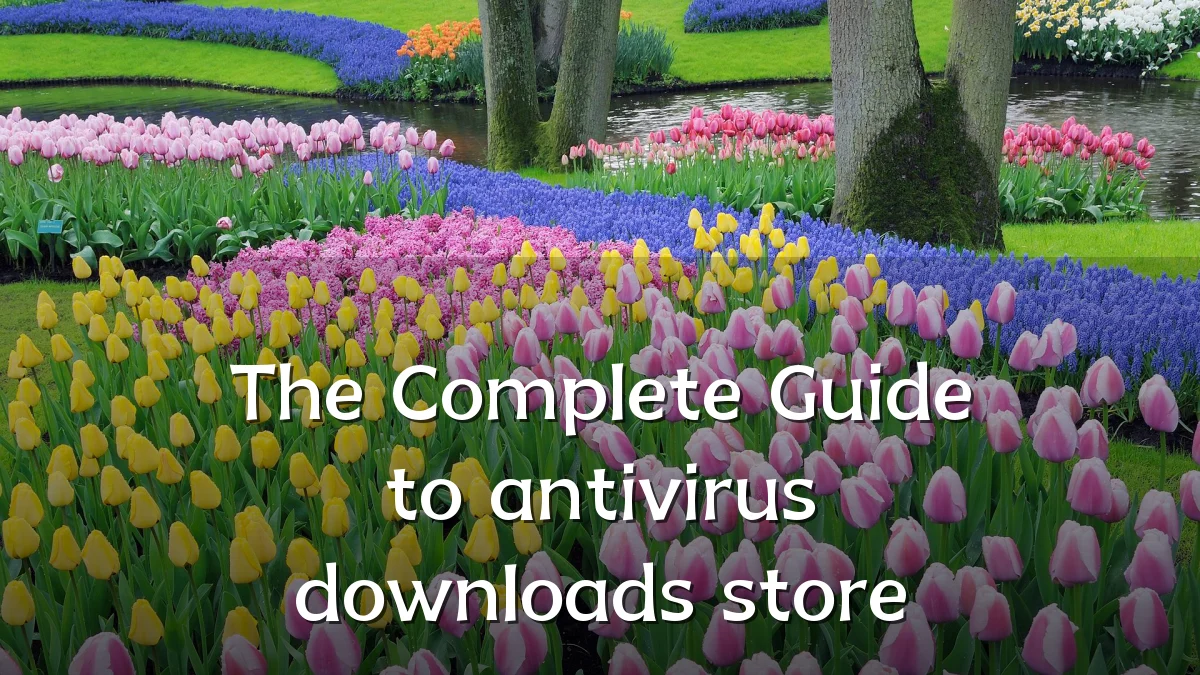 The Complete Guide to antivirus downloads store