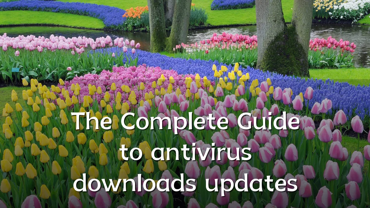 The Complete Guide to antivirus downloads updates