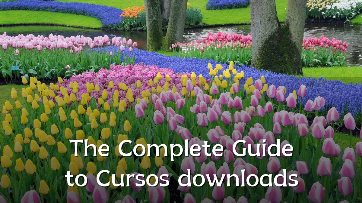 The Complete Guide to Cursos downloads