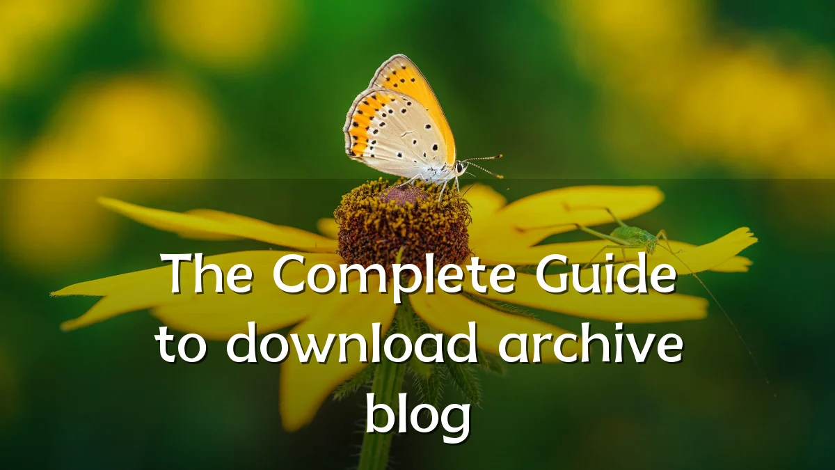 The Complete Guide to download archive blog