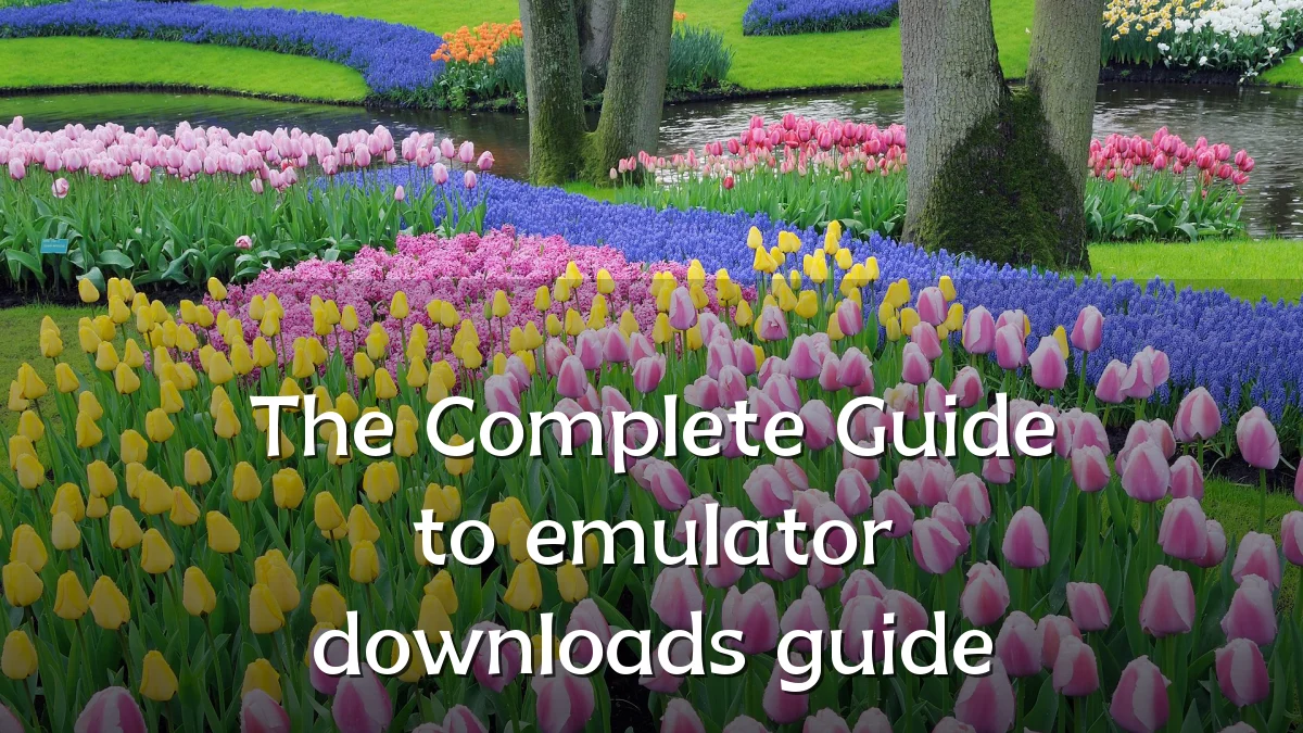 The Complete Guide to emulator downloads guide