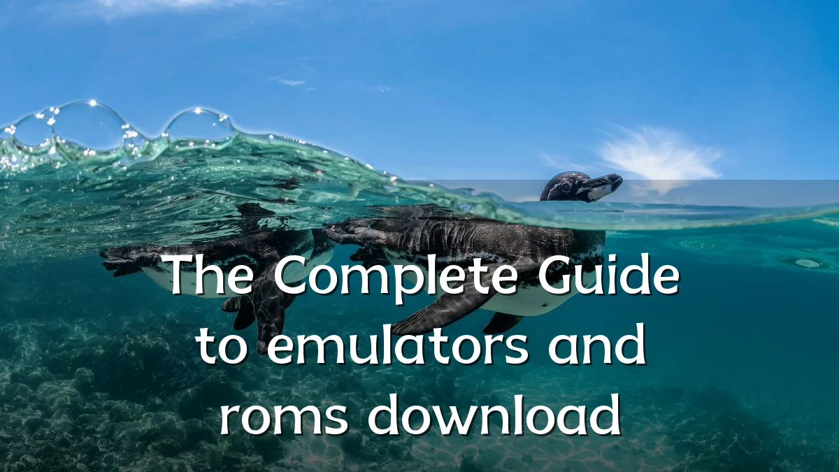 The Complete Guide to emulators and roms download