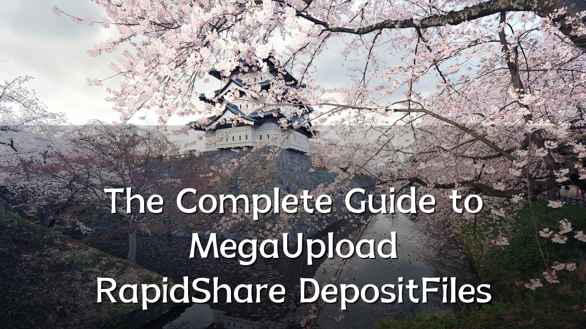 The Complete Guide to MegaUpload RapidShare DepositFiles