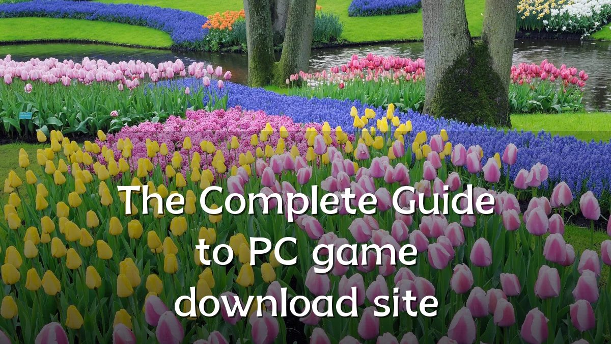 The Complete Guide to PC game download site
