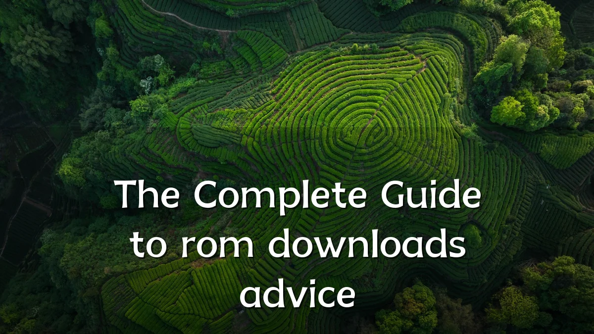 The Complete Guide to rom downloads advice
