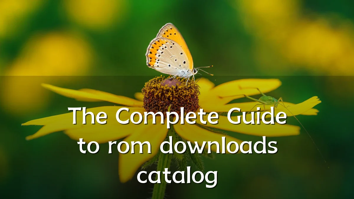 The Complete Guide to rom downloads catalog