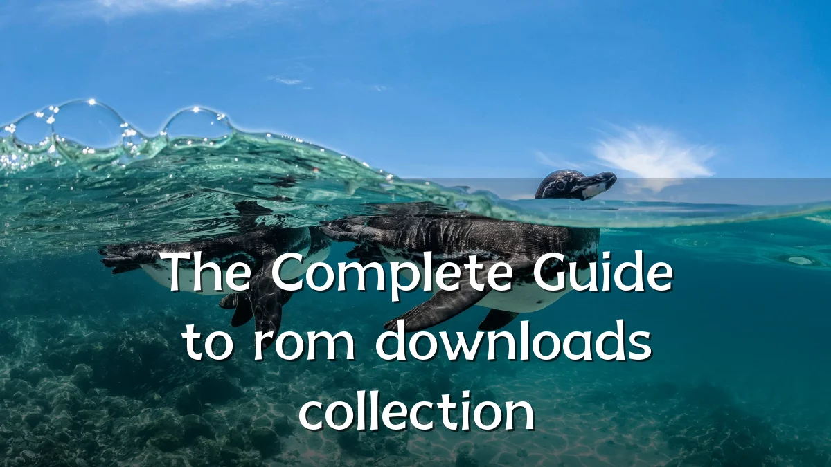 The Complete Guide to rom downloads collection