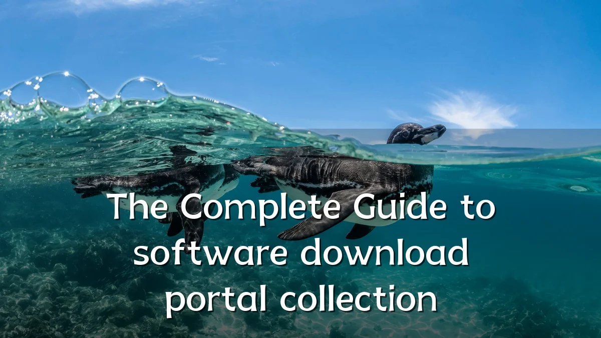 The Complete Guide to software download portal collection